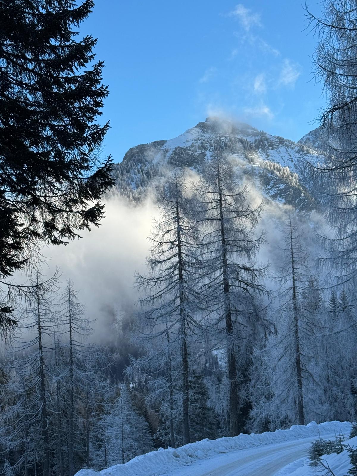 Dr. Sylvia Holle-Robatsch